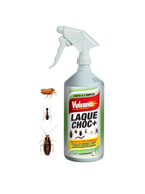 Spray insecticide - VULCANO Laque choc Destruction radicale