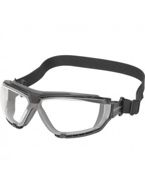 lunettes monobloc en polycarbonate GO-SPECS TEC CLEAR par Delta Plus